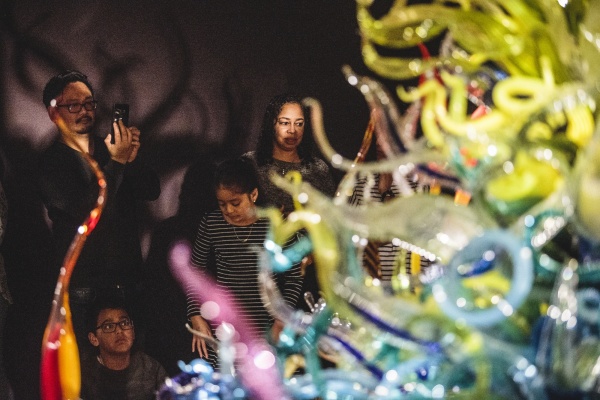 Familiedag Beijum Groninger Museum