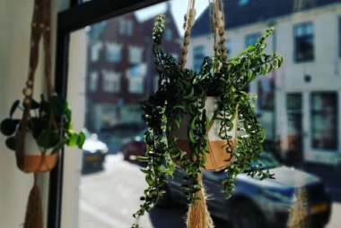 USVA Macramé workshop