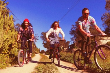 Collignon Cycledelica