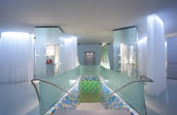 Starck