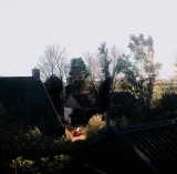 Gus Drake, Een bewoner van Overschild verzamelt stenen die het verleden en heden met elkaar verbinden, 2022