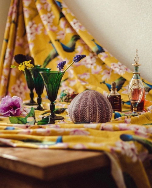 Jorinde van den Bosch