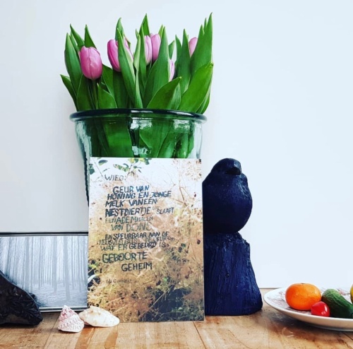 Swanny van der Scheer