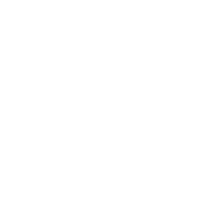 Boer