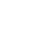 Mondriaan Fonds WIT