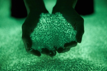 PRESENCE Roosegaarde