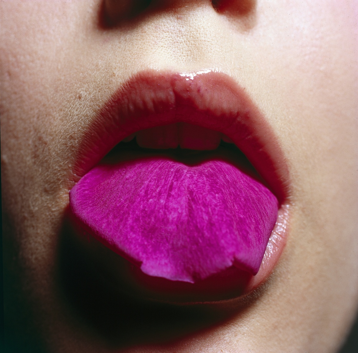 Cornelie Tollens, zonder titel, 1993