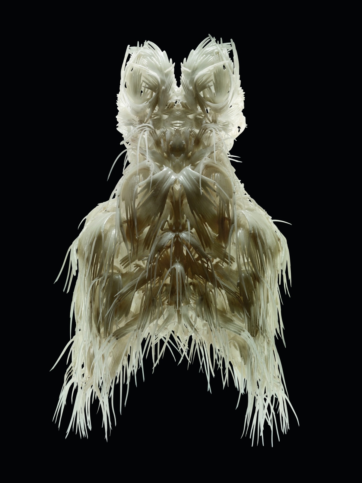 Iris van Herpen, Biopiracy, Dress, fall/winter 2014. TPU 92A-1 with silicone coating. Collection of Phoenix Art Museum