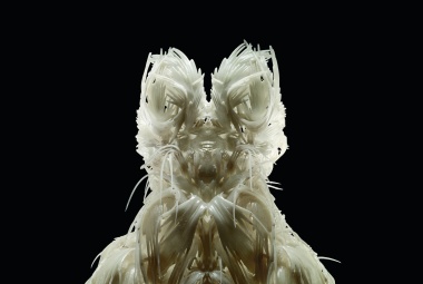 Iris van Herpen, Biopiracy, Dress, fall/winter 2014. TPU 92A-1 with silicone coating. Collection of Phoenix Art Museum