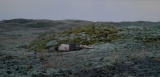 7 Eglė Budvytytė, Songs from the Compost: Mutating Bodies, Imploding Stars, 2020